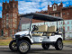 Lakeside Buggies MODZ Matrix Machine & Bronze 14" Golf Cart Wheel- G1-5419-MBZ Modz Wheels
