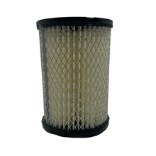1976-95 Club Car-Columbia Par Car - Air Filter Replacement