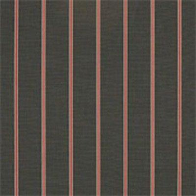 CHAM CP 36" VAL 4865 SHAFFORD CLASSIC (ALL CC, YA G14-