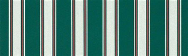 CHAM CP 36" VAL 4790 FOREST GREEN FANCY (ALL CC, YA G1