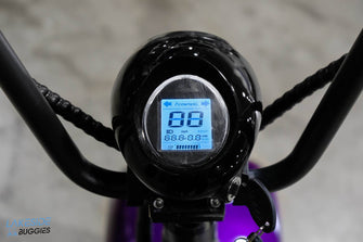 E-Rider Electric Personal Transportation Scooter Purple PN# R2WSE3000PA080884 -  E-Riderrs at LakesideBuggies.com