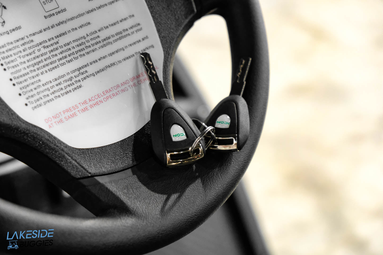 2024 Icon EV ECO L Tan  Lead Acid 4 Passenger PN# LT-A0157748 -  Icon EV at LakesideBuggies.com