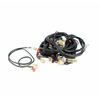 Lakeside Buggies Star EV Sirius 4/4+2 Accessory Harness- 2WH755 Other OEM Wiring harnesses